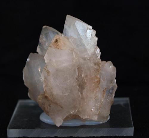 Celestina<br />Canteras Las Amoladoras, Verdegás, Alicante/Alacant, Comarca Campo de Alicante, Alicante / Alacant, Comunidad Valenciana / Comunitat Valenciana, España<br />4 cm. x 4.5 cm.<br /> (Autor: Pedro Antonio)