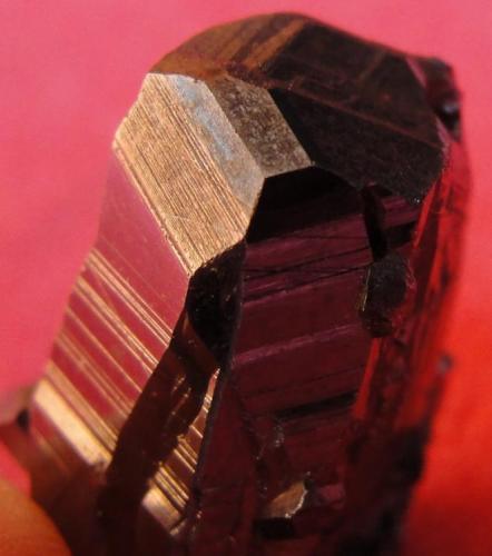 Pirargirita
Distrito minero de Fresnillo, Zacatecas, México
2 X 8 X 1.3 cm
Detalle del cristal de pirargirita perfectamente desarrollado, sin daño en sus 360°. (Autor: Luis Edmundo Sánchez Roja)