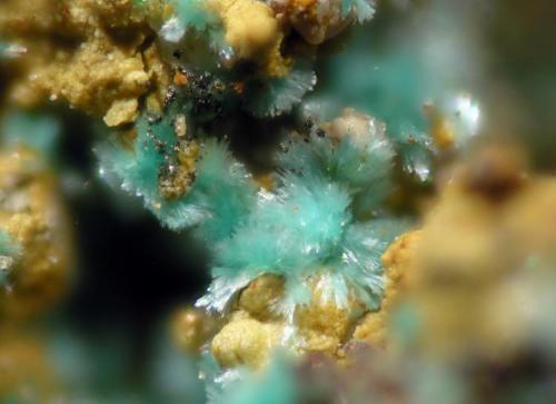 Devillina<br />San Valentín open pit, Sancti Espíritu, Sierra Minera de Cartagena-La Unión, La Unión, Comarca Campo de Cartagena, Region of Murcia (Murcia), Spain<br />FOV 1.5 mm<br /> (Autor: Cesar M. Salvan)