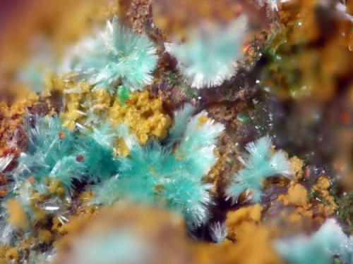 Devillina<br />San Valentín open pit, Sancti Espíritu, Sierra Minera de Cartagena-La Unión, La Unión, Comarca Campo de Cartagena, Region of Murcia (Murcia), Spain<br />FOV 1.5 mm<br /> (Autor: Cesar M. Salvan)