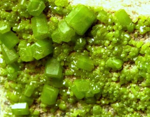 Pyromorphite
Tanzfleck, Freihung, Bavaria, Germany
Field of view 35 mm (Author: Tobi)