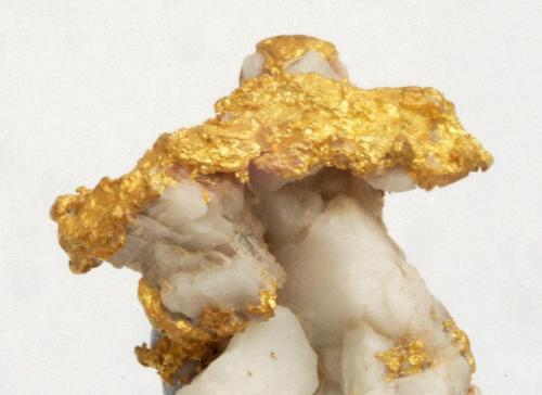 Oro y Cuarzo ( detalle ) -
Sierra de Gata - Portezuelo - Vegas del Alagón - Cáceres - Extremadura - España -
2,9 x 1,5 x 1,3 cm (Autor: Martí Rafel)