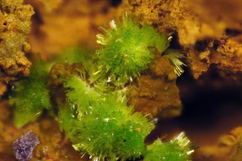 Arthurita.
Mina María Josefa, Rodalquilar, Nijar, Almería, Andalucía, España.
Ancho de la foto 2 mm. (Autor: Juan Miguel)