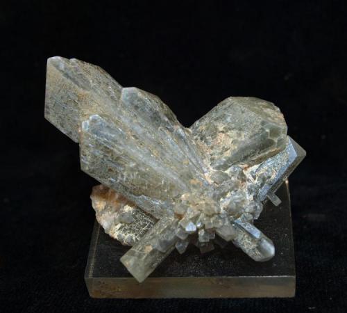 Celestina<br />Ulea, Comarca Valle de Ricote, Región de Murcia (Murcia), España<br />Cristal mayor 6,5 x 2,4 cm.<br /> (Autor: Pedro Antonio)