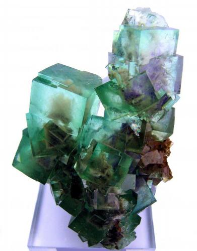 Fluorite
Xianghuapu mine, Xianghualing, Linwu, Chenzhou, Hunan, China
113 mm x 80 mm x 52 mm (Author: Carles Millan)