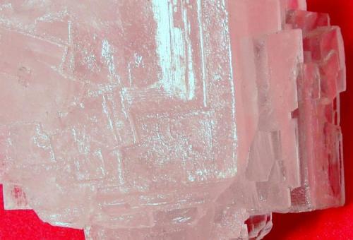 Halita.
Mina de Guerrero Negro, Baja California Sur, México
6.5 X 3.5 X 3 cm.
Detalle del cristal de Halita. (Autor: Luis Edmundo Sánchez Roja)