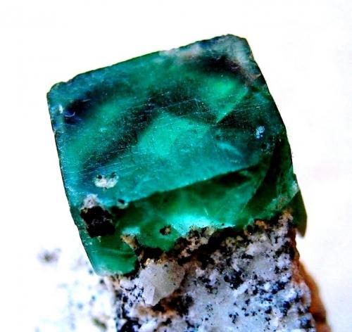 Fluorite
Erongo Mountain, Erongo Region, Namibia
Crystal size 10 mm (Author: Tobi)