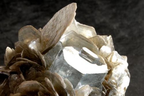 Berilo (Var. Aguamarina).
Chumar Bakhoor, Hunza valley, Gilgit District, Gilgit-Baltistan (Northern Areas), Pakistan.
Medidas pieza: 7x5x4,3 cm, Medidas cristal: 1,8x1,6x1,6 cm (Autor: Sergio Pequeño)