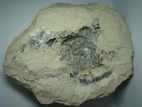 Celestina<br />Pedrera Tossal Gros, La Pedrera, Ivorra, Comarca La Segarra, Lérida / Lleida, Cataluña / Catalunya, España<br />38 x 30 x 11 cm<br /> (Autor: D.N.S.Borràs)