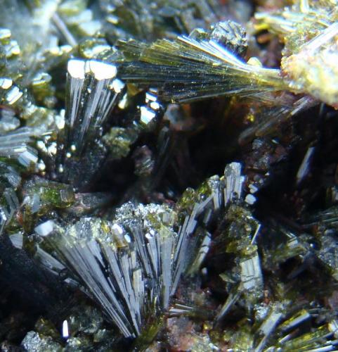 Epidota
Casterner de les Olles, Serra de Sant Gervàs, Tremp, Lleida, España
Cristales de 1 cm
Detalle de la foto anterior.
Recogida a principios del 2010 (Autor: D.N.S.Borràs)