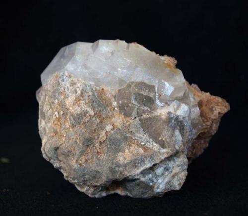 Celestina<br />Canteras Las Amoladoras, Verdegás, Alicante/Alacant, Comarca Campo de Alicante, Alicante / Alacant, Comunidad Valenciana / Comunitat Valenciana, España<br />5,5 x 4,5 cm<br /> (Autor: Pedro Antonio)