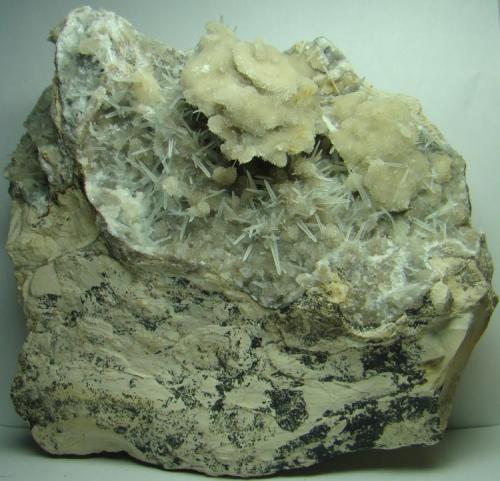 Celestina con calcita
Pedrera Tossal Gros, Ivorra, La Segarra, Lleida, Catalunya, España
16x14x5 cm
Puntas de Celestina blancas con curiosa cristalización de la calcita en forma de rosa.
Recogida en Febrero del 2012 (Autor: D.N.S.Borràs)