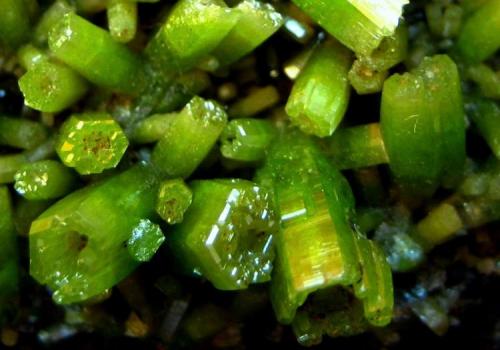 Pyromorphite
Daoping Mine, Guilin Prefecture, Guangxi Zhuang Autonomous Region, China
FOV 15 mm
Interesting to see the structure of those tiny crystals (~ 5 mm): They are somehow hollow like a tube but completey terminated, even with many small edges on top. (Author: Tobi)