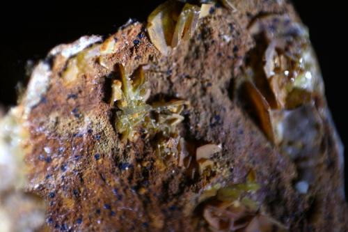 Stolzita y Cerusita<br />La Tala Mine (Teresa mine-Goviendes Mine), La Tala, Comarca Alto Tormes, Salamanca, Castile and León, Spain<br />Pieza de 6 cm. Cristales entre 2-3 mm. los más grandes.<br /> (Autor: canada)