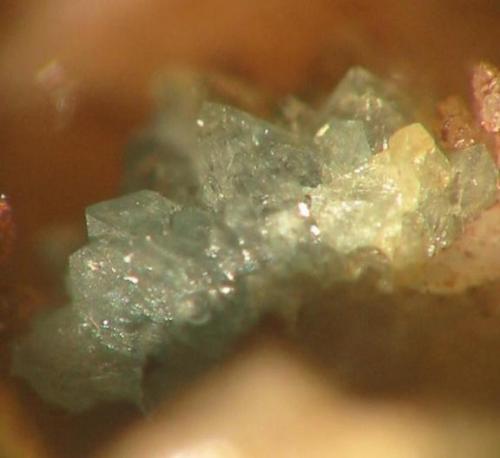 Scorodite
Schneckenstein, Falkenstein, Vogtland, Saxony, Germany.
2 mm aggregate
The well-crystallized scorodite in detail. (Author: Andreas Gerstenberg)