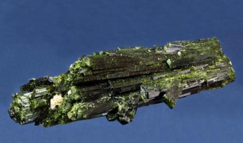 Epidote

Julie (Lola) claim, Pamlico District, near Hawthorne, Mineral County, Nevada, USA

91 x 32 x 25 mm

A fine cluster of bright-green, lustrous Epidote crystals from Nevada, with glassy luster, and stretching 43 mm to their terminations in a gently tapering and elegant spray. It is a floater and is fully terminated. It is a top specimen from this locality. Collected by Harvey Gordon, it is from the Marty Lewadny Collection (Winnipeg, Manitoba). No damage. (Author: GneissWare)