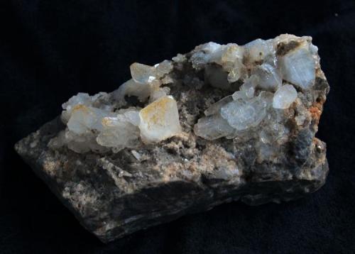Celestina<br />Canteras Las Amoladoras, Verdegás, Alicante/Alacant, Comarca Campo de Alicante, Alicante / Alacant, Comunidad Valenciana / Comunitat Valenciana, España<br />10 x 5 cm<br /> (Autor: Pedro Antonio)