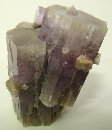 Aragonito
Rambla de la Tenazga, Camporrobles, Valencia, España
5,5x4x3 cm
Cristales violetas.
Recogido en Mayo del 2010 (Autor: D.N.S.Borràs)