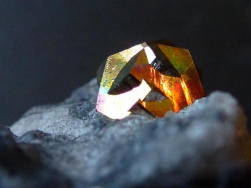 Pirita en Yeso<br />Segorbe, Comarca Alto Palancia, Castellón / Castelló, Comunidad Valenciana / Comunitat Valenciana, España<br />4 x 4 cm<br /> (Autor: javier ruiz martin)