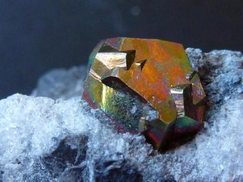Pirita en Yeso<br />Segorbe, Comarca Alto Palancia, Castellón / Castelló, Valencian Community / Comunitat Valenciana, Spain<br />4 x 4 cm<br /> (Autor: javier ruiz martin)
