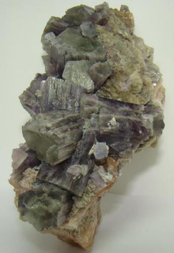 Aragonito en matriz de yeso
Rambla de la Tenazga, Camporrobles, Valencia, España
14x8x8 cm
Cristales violetas.
Recogida en Julio del 2011. (Autor: D.N.S.Borràs)