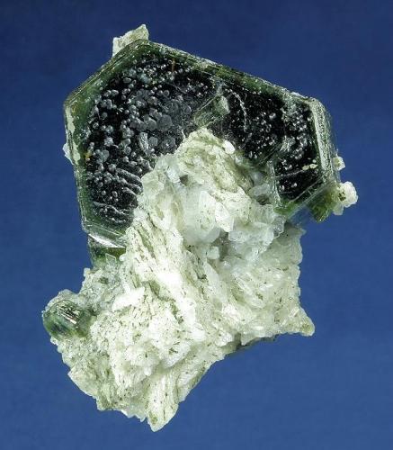 Fluorapatite on Albite

Sapo Mine, Doce valley, Conselheiro Pena, Minas Gerais, Brazil

51.0 x 42.0 x 42.0 mm

A sharp, glassy, lustrous dark-forest-green Apatite crystal, measuring 39 x 28 x 17 mm, with slightly beveled edges is perched on a bed of white glassy Albite cystals. The Albite is sprinkled with green microcystals of Apatite and accented by several well formed green Apatite crystals. The face of the large Apatite has a series of solution pits adding to the interest. This is an outstanding specimen with no damage. (Author: GneissWare)