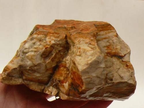 Agate
Biggs/Owyhee area, Oregon, USA
6.75"x4.75"x2.5" 2.7lb. (Author: paulybrina)