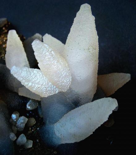 Calcite
Iraí, Alto Uruguai region, Rio Grande do Sul, Brazil
Largest crystal measures 4,5 cm (Author: Tobi)