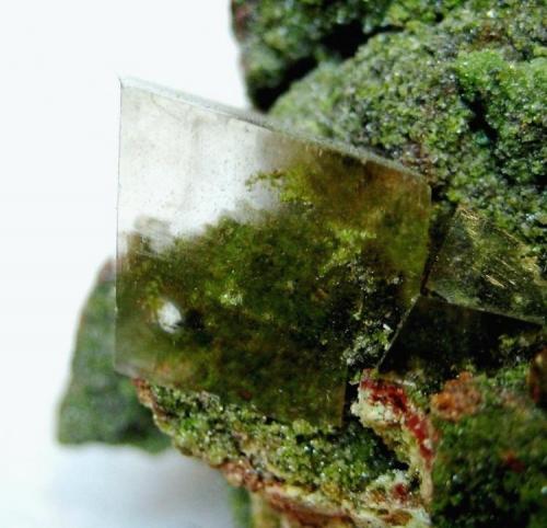 Calcite
Tsumeb Mine (Tsumcorp Mine), Tsumeb, Otjikoto Region, Namibia
Crystal size 1 cm
Completely transparent calcite rhombohedron on green mottramite (?) (Author: Tobi)