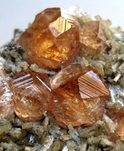 Grossular
Jeffrey Mine, Asbestos, Quebec, Canada
Larger crystals ~ 8 mm (Author: Tobi)