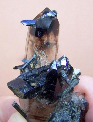 Aegirine and smoky quartz
Zomba mountains, Malawi
86 x 42 x 33 mm (Author: Pierre Joubert)