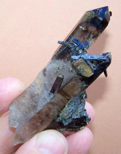 Aegirine and smoky quartz
Zomba mountains, Malawi
86 x 42 x 33 mm
Aegirine crystals in, through and on smoky quartz (Author: Pierre Joubert)