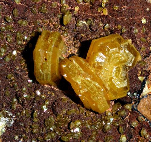 Mimetita
Filón Sur, Tharsis, Alosno, Huelva, Andalucía, España.
Encuadre 6 mm (Autor: Antonio Carmona)