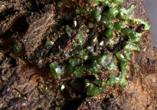 Piromorfita
Sierra Nevada, Granada, Andalucía, España.
Cristales de 3 mm. (Autor: Antonio Carmona)