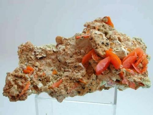 Wulfenite
Mibladen, Midelt, Khénifra Province, Meknès-Tafilalet Region, Morocco
Specimen size 8 cm (Author: Tobi)