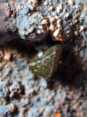 Clorargirita
Filón Sur, Tharsis, Alosno, Huelva, Andalucía, España.
Enfoque 1 mm (Autor: Antonio Carmona)