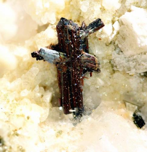 Rutilo
Canteras de Macael, Almería, Andalucía, España.
cristal de 0,8 cm (Autor: Antonio Carmona)