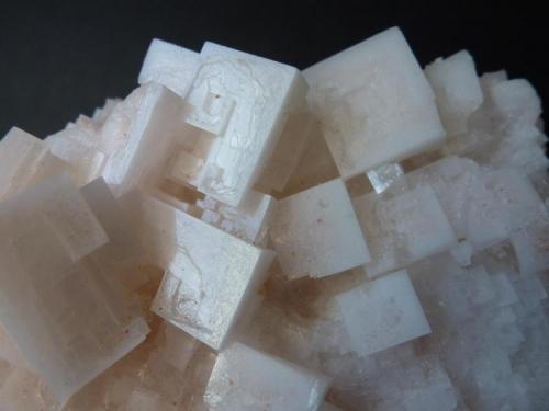 Halita<br />Imón saltworks, Imón, Sigüenza, Comarca Serranía de Guadalajara, Guadalajara, Castilla-La Mancha, Spain<br />7 x 5 cm.<br /> (Autor: javier ruiz martin)