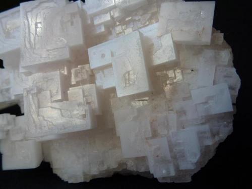 Halita<br />Imón saltworks, Imón, Sigüenza, Comarca Serranía de Guadalajara, Guadalajara, Castilla-La Mancha, Spain<br />6 x 5 cm.<br /> (Autor: javier ruiz martin)