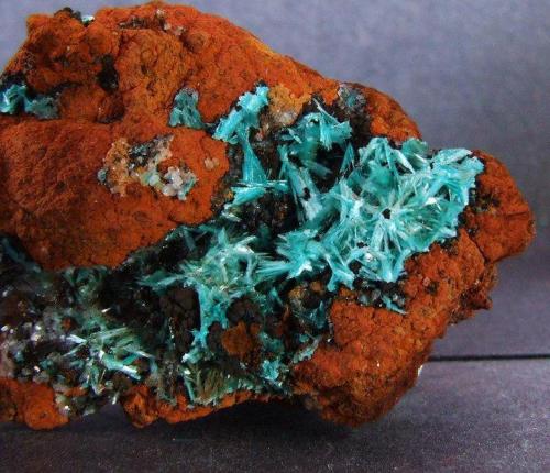 Aurichalcite
Ojuela mine, mun de Mapimi, Durango, Mexico.
FOV 40 x 40 mm approx (Author: nurbo)