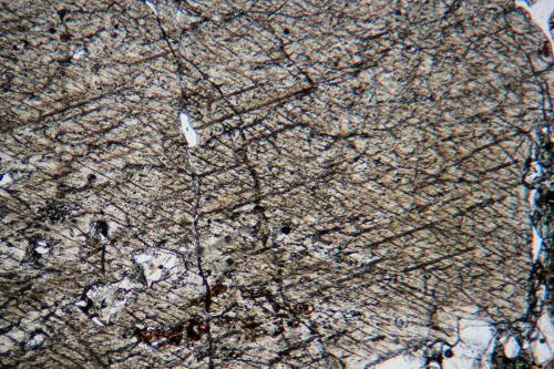 Ortopiroxeno (enstatita)
Lanzarote, islas Canarias, España.
FOV 3 mm
Lámelas de exsolución, áreas oscuras y alargadas, en ortopiroxeno (enstatita). Luz plana polarizada. (Autor: Vinoterapia)