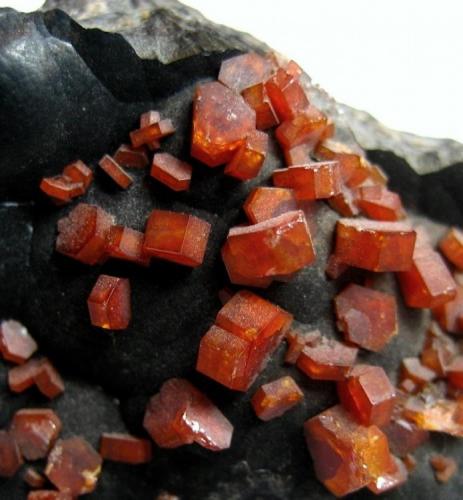 Vanadinite
Taouz, Er Rachidia Province, Meknès-Tafilalet Region, Morocco
Largest crystals ~ 4 mm (Author: Tobi)