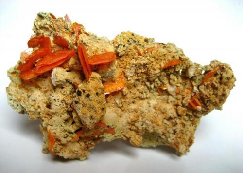 Wulfenite
Mibladen, Midelt, Khénifra Province, Meknès-Tafilalet Region, Morocco
Specimen size 8 cm, largest crystals ~ 1 cm (Author: Tobi)