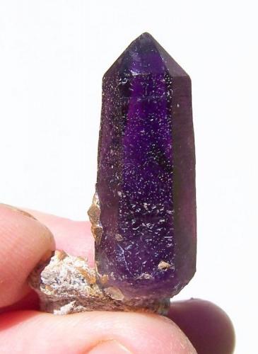 Quartz Var. Amethyst
Brandberg, Namibia
39 x 10 x 10 mm (Author: Pierre Joubert)