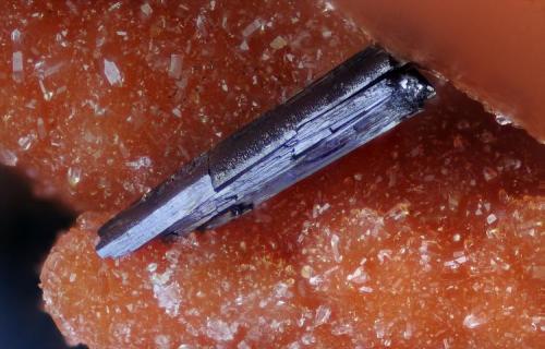 Groutite.
Black Water Mine, Black Mesa Basin, Apache Co., Arizona, USA.
Fov 2 mm. (Autor: Juan Miguel)