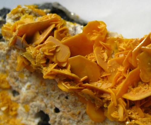 Wulfenite
Stefanie Mine, Bad Bleiberg, Carinthia, Austria
Field of view 3 cm (Author: Tobi)