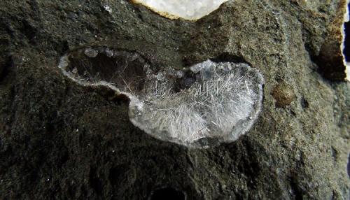 Analcime and Natrolite in Basalt
Parkgate Quarry, Co Antrim, Ireland.
The vug containing the Natrolite measures 7 mm across. (Author: nurbo)