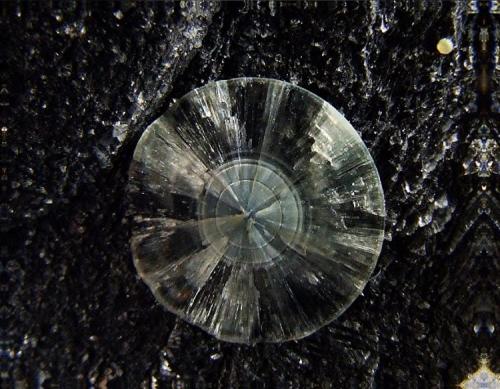 Wavellite
 Laharran Quarry, Minane Bridge, Tracton, Co Cork, Ireland
Wavellite to 11 mm (Author: nurbo)