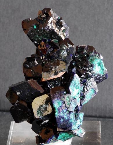 Azurite
Mina Milpillas, Cananea,Sonora, México
8x4,5 cm. (Author: Enrique Llorens)