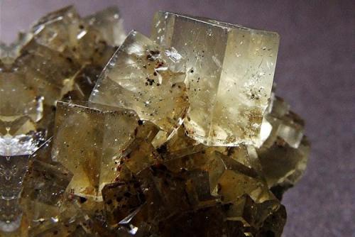 Fluorite
Hilton Mine, Scordale, Cumbria, England, UK.
Fluorite crystal 9 mm (Author: nurbo)